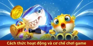 Bí Kíp Chơi Bắn Cá Royal Fishing 365Bet Săn Rồng Vàng Thắng Lớn 1 Bí Kíp Chơi Bắn Cá Royal Fishing 365Bet Săn Rồng Vàng Thắng Lớn